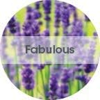 Fresh Products Eco Air 2.0 Air Freshener Fabulous 6/cs - EA36-LAV