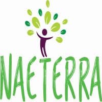 Naeterra Double the Mint Ultra Concentrated Multi-Purpose Cleaner – 64oz All-Natural Powerful &amp Refreshing Household Cleaning Solution Renders up to 24 Gallons of multi purpose cleaner