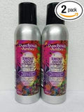 Smoke Odor Exterminator 198 gm/ 7 oz Large Spray Patchouli Amber Set of Two Cans.