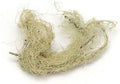 USNEA LICHEN WHOLE WC 4 OZ