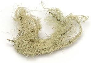 USNEA LICHEN WHOLE WC 4 OZ