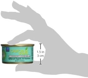 California Scents Spillproof Can Air Freshener Eco-Friendly Odor Neutralizer for Home Car Much More Desert Jasmine 1.5 oz 12 Pack