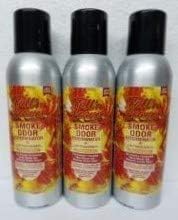 Smoke Odor Exterminator 198 gm/ 7 oz Large Spray Fall N Leaves Set of Three Cans.