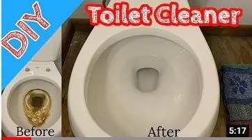 Santeen Toilet Bowl Cleaner | 6-pack of 1-quart bottles | Removes Rust Lime and Scale buildup