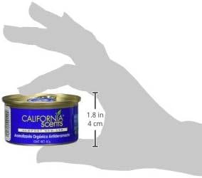 California Scents Spillproof Can Air Freshener Eco-Friendly Odor Neutralizer for Home Car &amp Much More Newport New Car 1.5 oz 12 Pack