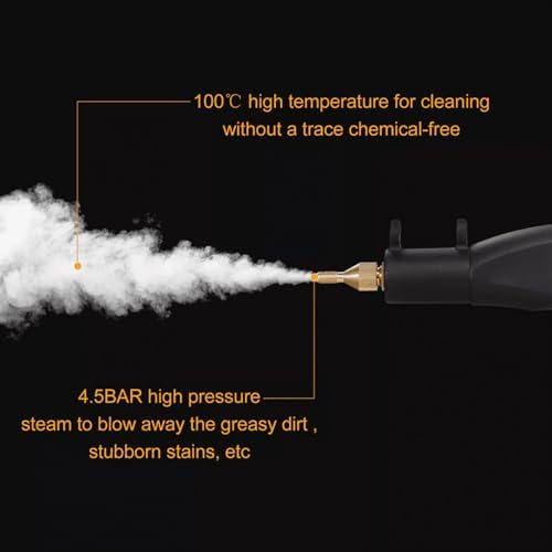 Steam Cleaner Portable Handheld Steam Cleaner 4.5Bar High Pressure Temperature Steam Cleaning Machine with 3 Brush (Black White)