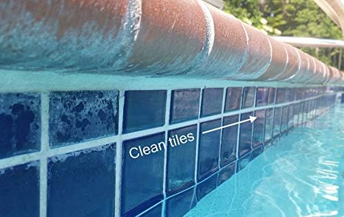 Guardian Pool Care Pack-Tile Cleaner (32 oz) Filter Cleaner (32 oz) Salt Cell Cleaner (32 oz) - Grout/Glaze Safe