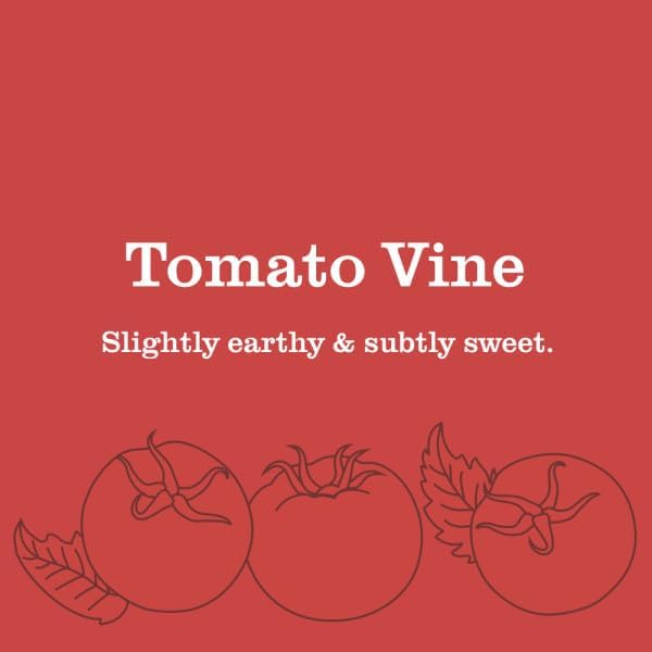 Mrs. Meyer’s Clean Day Room Freshener Variation (Tomato Vine)