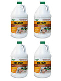 American Hydro Systems 2662 Rid O' Rust Liquid Rust Stain Remover 1 Gallon 4 Pack