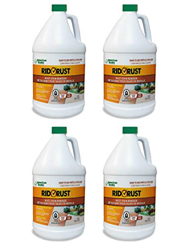 American Hydro Systems 2662 Rid O' Rust Liquid Rust Stain Remover 1 Gallon 4 Pack