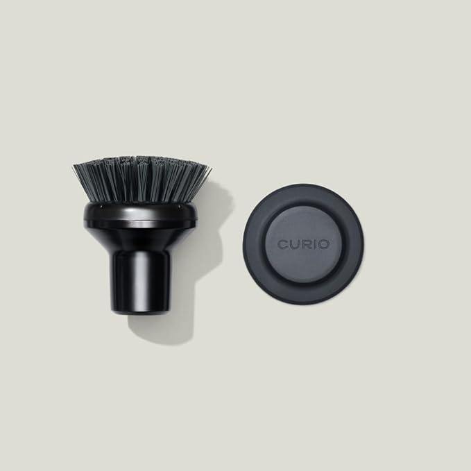 Ionic Palm Brush Magnetized to Stand Upright Stainless Steel with Replaceable Head Onyx/Black