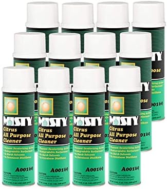 MISTY Citrus All-Purpose Cleaner - 19 oz (Case of 12) 1001583 - Biodegradable Aerosol For Indoor and Outdoor Use Fresh Citrus Scent