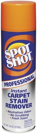 Professional Instant Carpet Stain Remover Light Scent18oz.Spray Can 12/Carto
