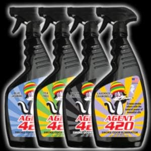 AGENT 420-22 oz Odor Destroying Spray for Eliminating Cigarette Smoke or Most Unwanted Odors In Your House Car or Apartment - Freshen Up The “place” [BLACK GLACIER]