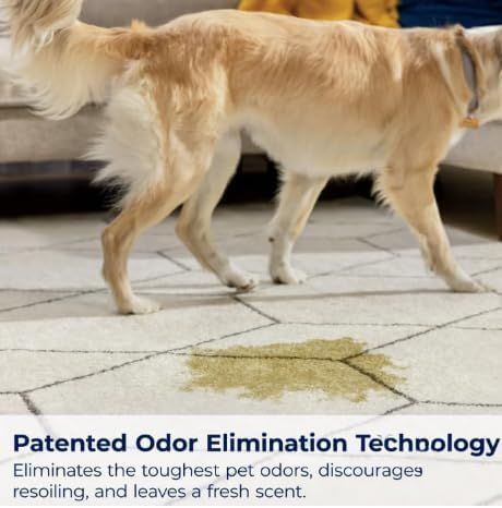 Woo-lite Carpet and Upholstery Foam Cleaner with Built-in Brush Triple Action Stainlift Technology for Stairs Fabrics Pet Odors