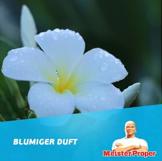 All Purpose Cleaner - Spring Awakening Fragrance (1L)