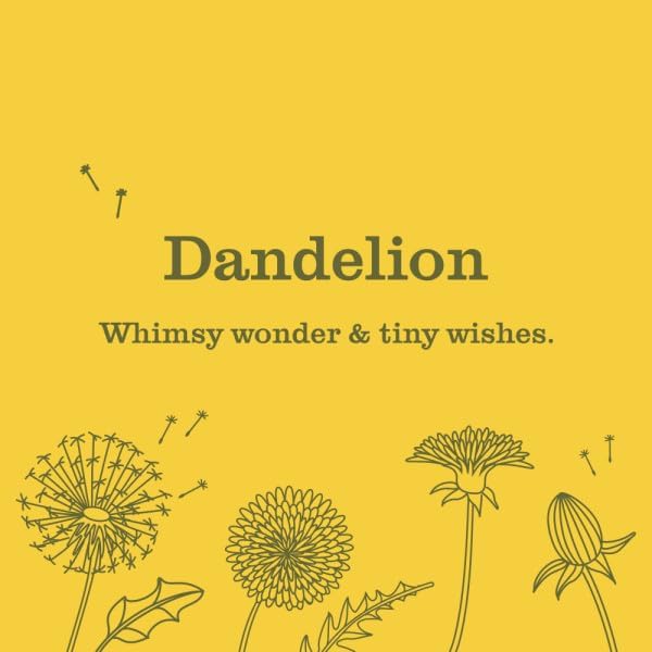 Mrs. Meyer’s Clean Day Room Freshener Variation (Dandelion)
