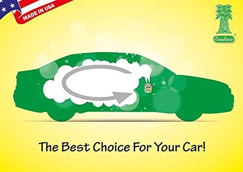 Car Air Freshener | Spill-Proof Can | Organic | for Home &amp Auto | Long Lasting Freshness | (Pack of 12) Lavender