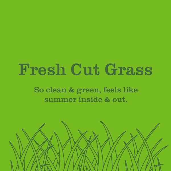 Mrs. Meyer’s Clean Day Room Freshener Variation (Fresh Cut Grass)