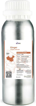 Ginger Essential Oil - Direct from Bio-Young Aromas - Pure Ginger Oil for Skin - Aceite de Jengibre - Aromatherapy 100% Therapeutic Premium Grade (2lbs)