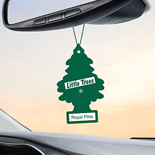 LITTLE TREES Car Air Freshener | Hanging Tree Provides Long Lasting Scent for Auto and Home | Royal Pine 24 Air Fresheners