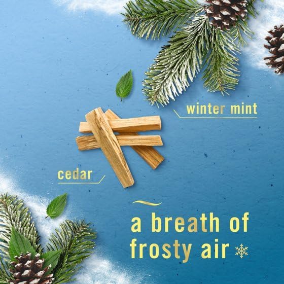 Feb-reze Bathroom Air Freshener Odor-Fighting DeodorizingSerene Snowfall Scent 1 Count