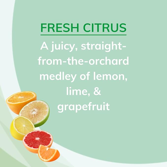 Citrus Magic Odor Absorbing Solid Air Freshener Fresh Citrus 8-Ounce Pack of 6