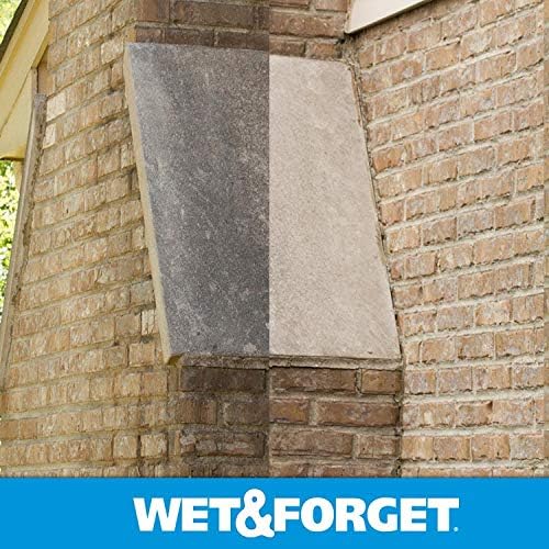 Wet &amp Forget Outdoor Moss Mold Mildew &amp Algae Stain Remover Multi-Surface Cleaner Ready to Use 64 Ounce