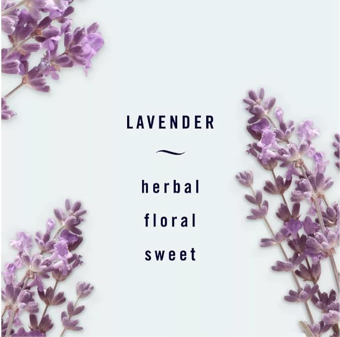 Generic Febreze Small Spaces Plug in Air Freshener Alternative for Home Heavy Duty Odor Eliminator for Strong Odor 4 Count (Pack of 1) (Lavender)