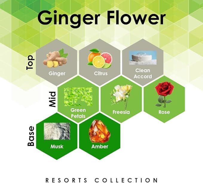 Aroma Retail Fragrance Oil Refill for Scent Machine Aroma Diffuser (27 fl oz Ginger Flower)