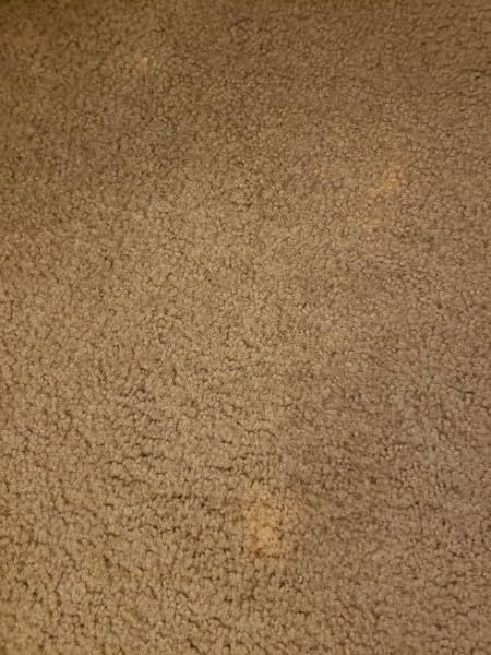 Bleachstain® Precision Carpet Spot Dye Kit | Bleach Stain Repair Kit | For Spots And Drips Smaller Than Pea Size | For medium beige gray tan