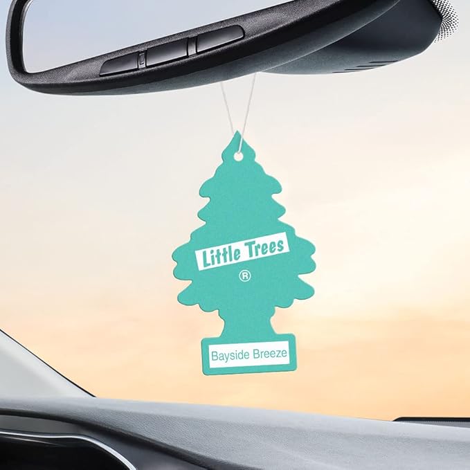 LITTLE TREES Car Air Freshener | Hanging Tree Provides Long Lasting Scent for Auto and Home | 24 Air Fresheners |Bayside Breeze