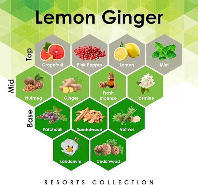 Aroma Retail Fragrance Oil Refill for Scent Machine Aroma Diffuser (27 fl oz Lemon Ginger)
