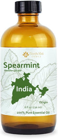 Spearmint Essential Oil - Direct from Essential Oils India - Steam Distilled - Aceite Esencial de Menta Verde for Aromatherapy Massage Diffuser DIY Candle and Soap Making - 8oz