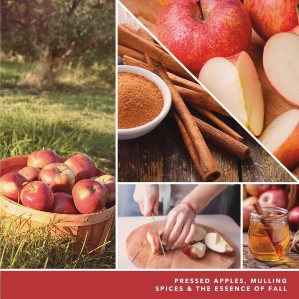 Yankee Candle ScentPlug Refill Ciderhouse 1 CT (Pack of 6)