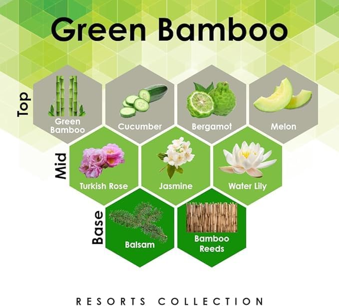 Aroma Retail Fragrance Oil Refill for Scent Machine Aroma Diffuser (27 fl oz Green Bamboo)