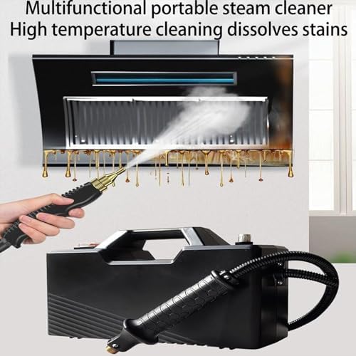 High Pressure Steam Cleaner 3800W - Portable Handheld Steamer 6000ML with 2 Brushes &amp Extension Elbow for Deep Cleaning Stain Removal &amp Sanitizing (Black)