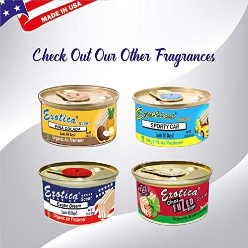Car Air Freshener | Spill-Proof Can | Organic | for Home &amp Auto | Long Lasting Freshness | (Pack of 12) Lavender