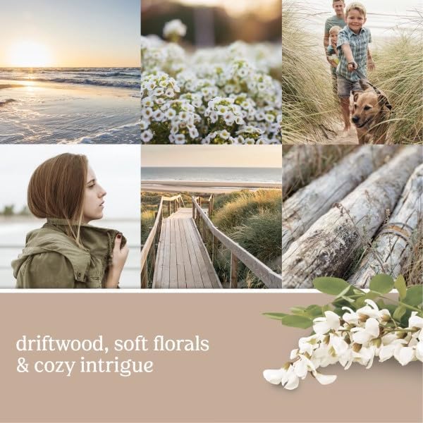Yankee Candle Seaside Woods Electric Home Fragrance Scent Plug Refill (Pack of 4)
