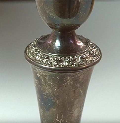 Nushine Silver Maintenance Solution 3.4 Oz - contains pure silver (perfect for worn silver)