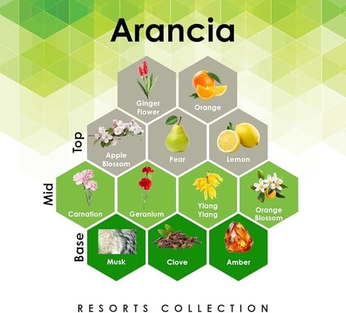 Aroma Retail Fragrance Oil Refill for Scent Machine Aroma Diffuser (4 fl oz Arancia)