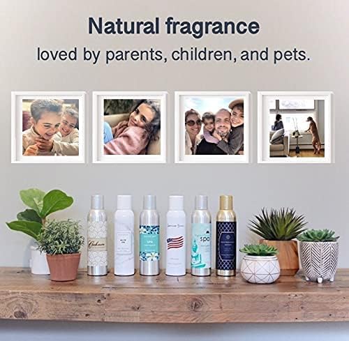 AP Fragrance Belfair Oaks Room Fragrance Air Freshener Spray - Concentrated Odor Neutralizer Bachelor Scent - 3 Pack