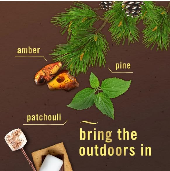F.e.b.r.e.z.e Small Spaces Air Freshener- 0.25 fl oz(Pack of 3) (Cozy Campfire)