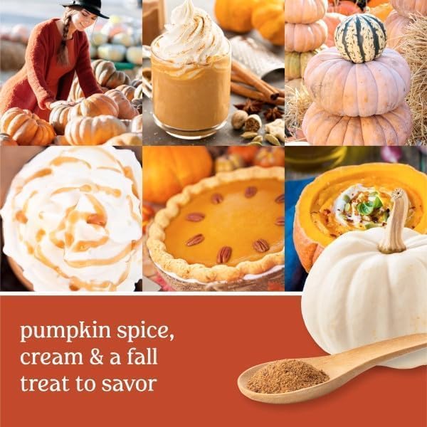 Yankee Candle ScentPlug Refill Spiced Pumpkin (Pack of 4)
