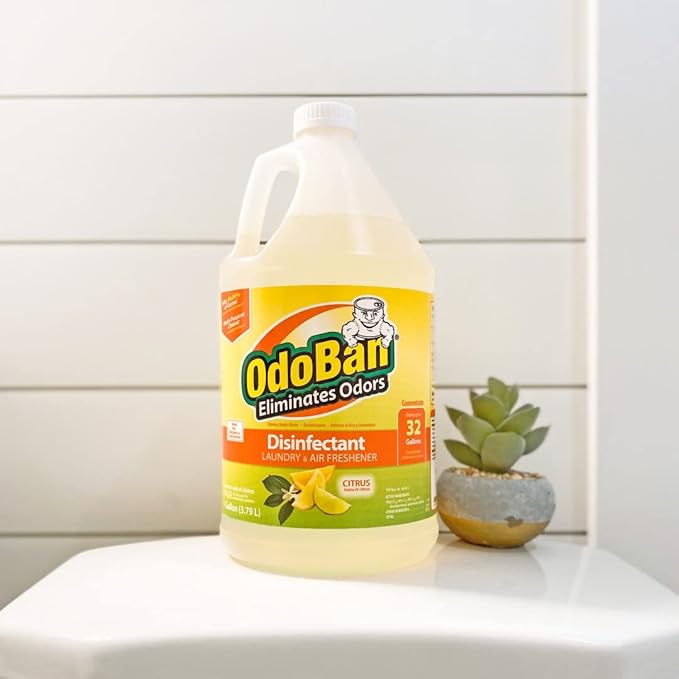 OdoBan Ready-to-Use Disinfectant and Odor Eliminator Made in the USA Citrus Scent Set of 2 32 oz Spray and 1 Gallon Concentrate