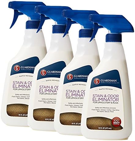 Guardsman Stain &amp Odor Eliminator