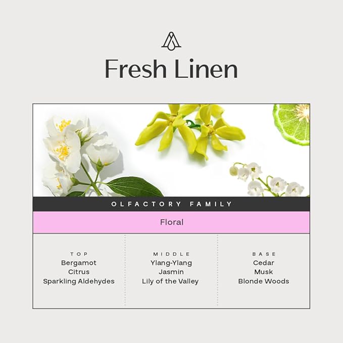 AromaPlan HotelHome Luxury ScentsFresh Linen 5.07 Fl Oz (150ml) | Fragrance for Cold Air &amp Waterless Diffuser Oil | Home Luxury &amp Hotel Scent for Aromatherapy-USA MadeBigger Bottle &amp Lo
