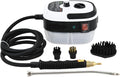 2500W Steam Cleaner Handheld Cleaning Steamer High Pressure Temperature Portable Steam Cleaning Machine for Upholstery Kitchen Furniture Bathroom Car (white)
