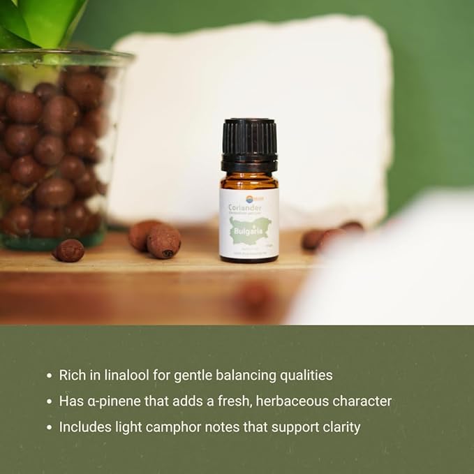 Coriander Essential Oil - Direct from Bulgarian Balkan Mountains - Steam Distilled - Aceite Cilantro for Aromatherapy Massage Diffuser DIY Candle and Soap Making - 2lbs