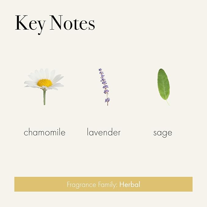 LAFCO New York Surface Cleaner Chamomile Lavender - 16 fl oz - Bio-Enzyme Natural Formula for a Fragrant Clean - Safe for Non-Porous Sealed Surfaces - Synthetic &amp Cruelty Free
